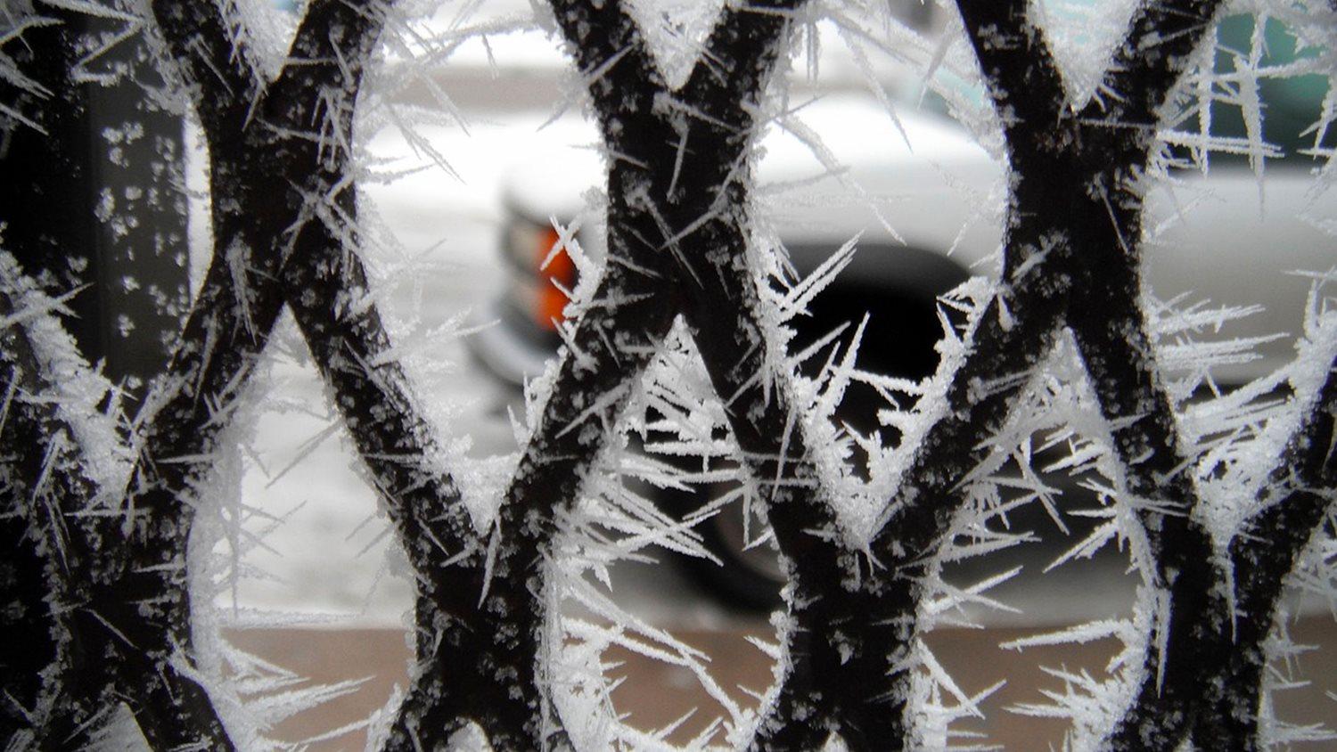 Story Image via pixabay.com