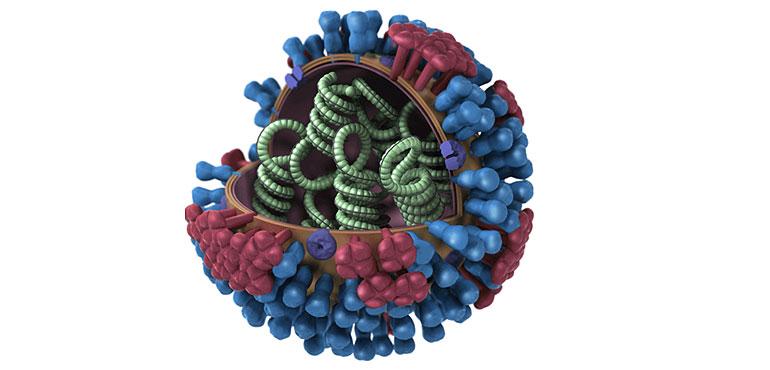 A Flu vaccine diagram (CDC)