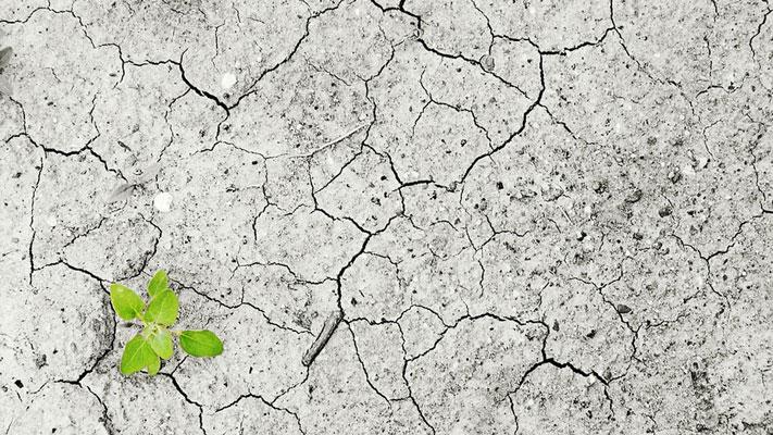 Drought via Pixabay