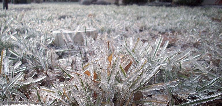Ice glaze on grass, taken in Pennsylvania, USA during freezing rain on December 16, 2007. (Murali Narayanan).