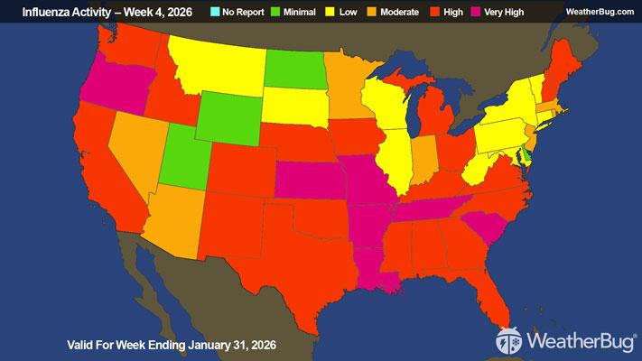 Flu Update Valid For Week Ending January 31, 2026