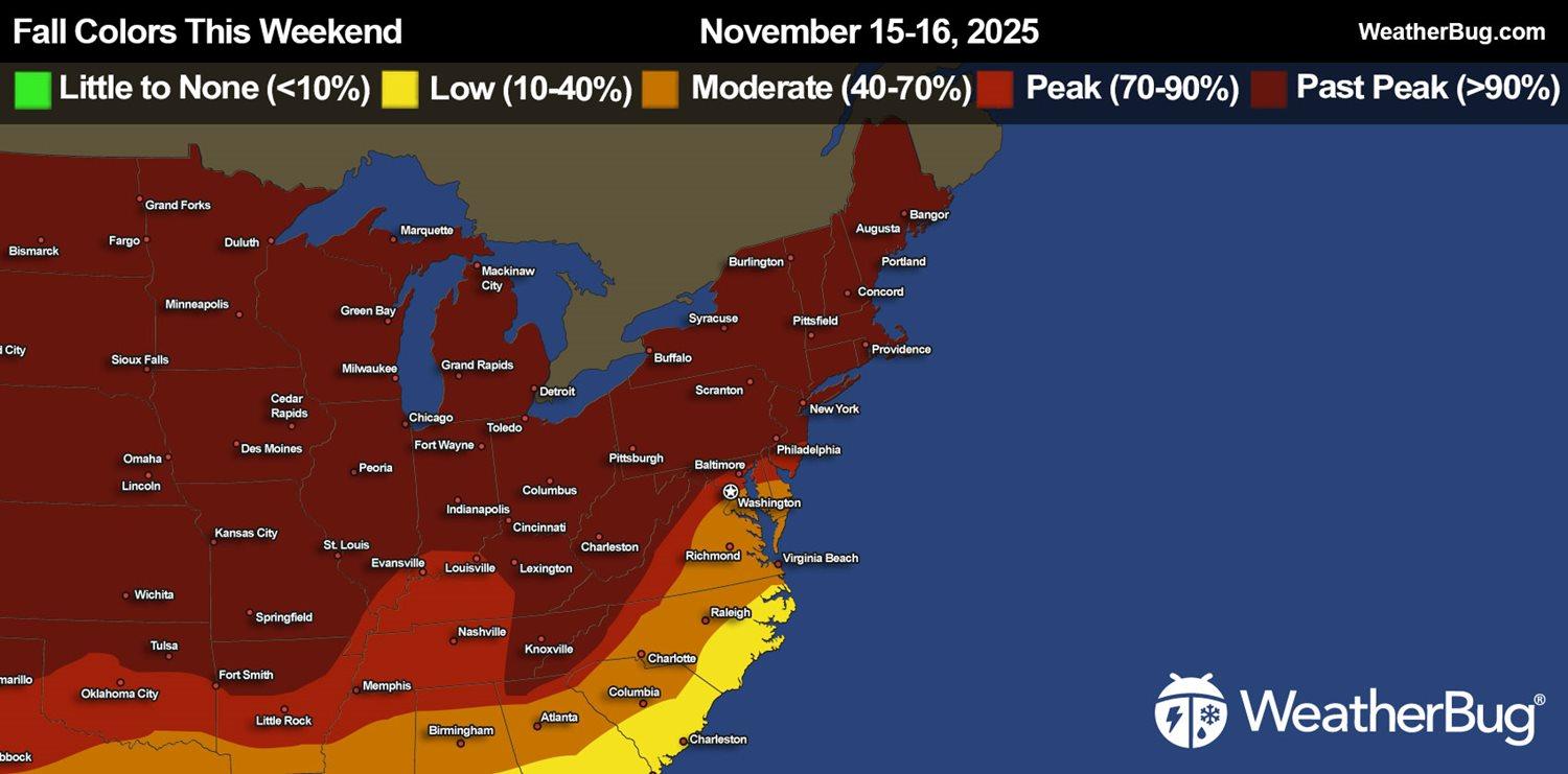Fall Colors This Weekend