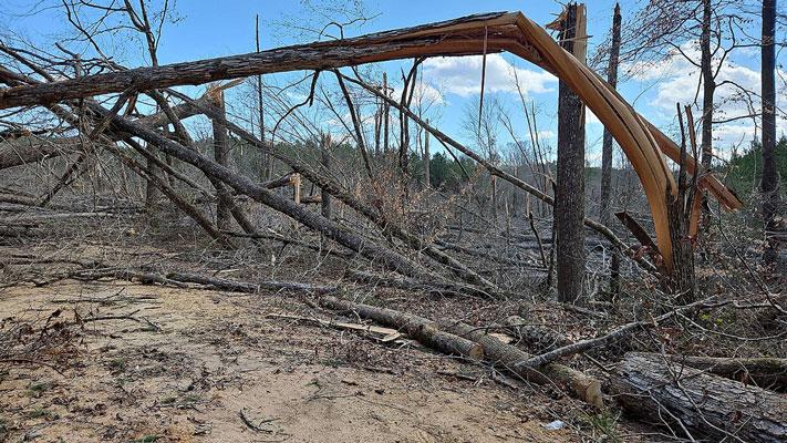 EF3 tornado damage near Plantersville, Alabama