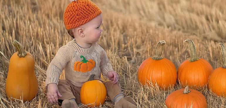 Image by Jill Wellington from Pixabay