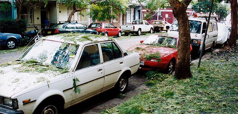 The aftermath of the storm near Sydney. (Michael Thompson via Wikipedia)