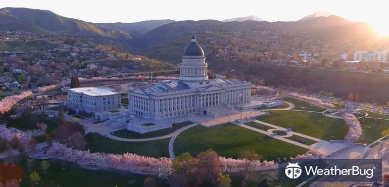Footage captured by Scott T. Taylor shows the cherry blossoms surrounding the capitol building in Salt Lake City.
