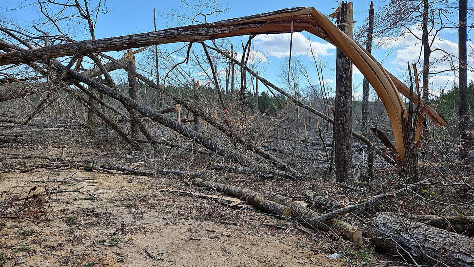 EF3 tornado damage near Plantersville, Alabama