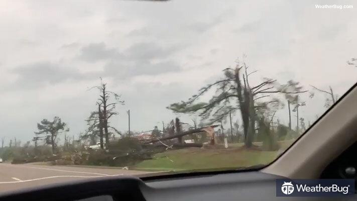 The video shows a bank of dark clouds followed by storm damage near Collins, Mississippi. (JoshStreet12 via Storyful)