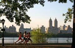 Jogging in Central Park. (Courtesy of Wikimedia Commons)