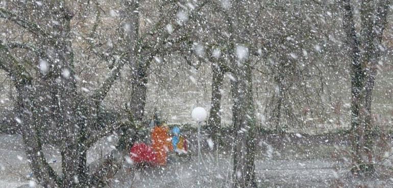 Image courtesy of PeakPX.