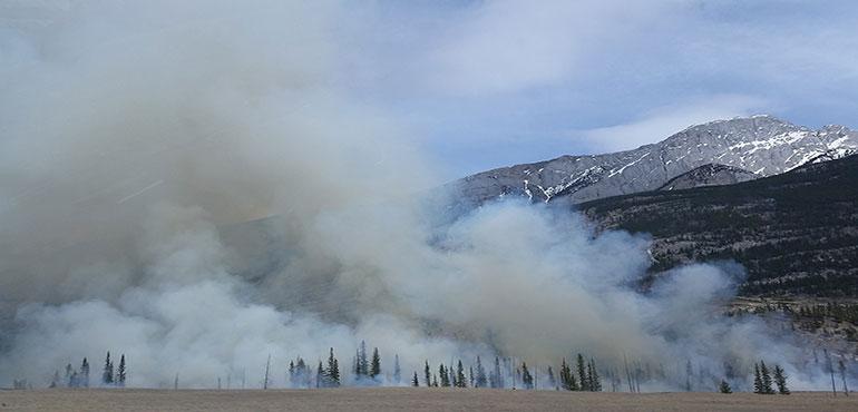 A forest burning with clouds of smoke (Image by Jackie Burton from Pixabay)