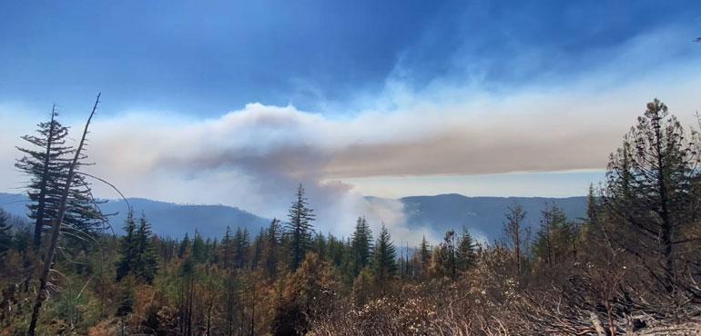 Credit: Rogue River-Siskiyou National Forest via Storyful