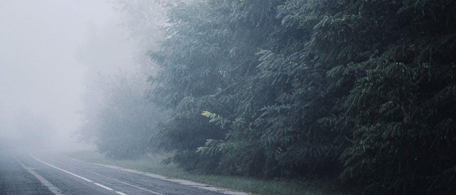 Story Image by DashaKudryavtseva from Pixabay