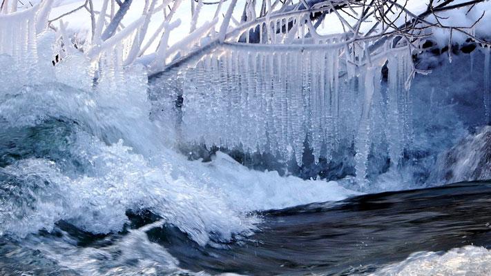 Story Image via pixabay.com