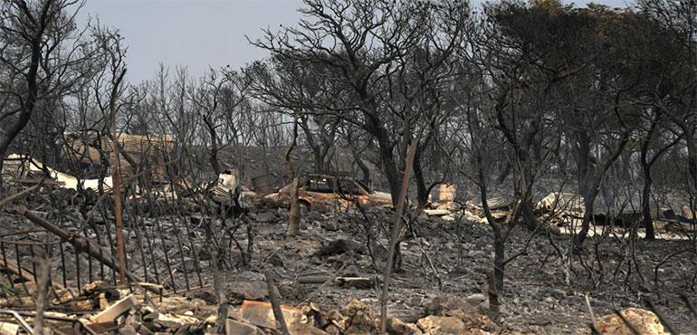 Burnt trees and a car after yesterday's fire in Mandra, west of Athens, on Wednesday, July 19, 2023. (AP Photo/Thanassis Stavrakis, File)