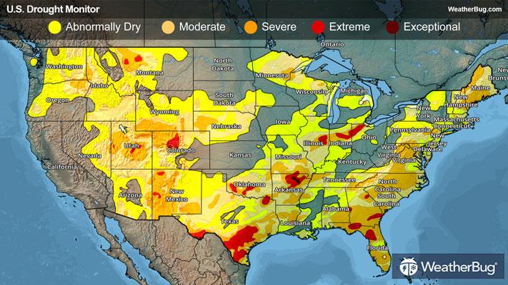 Weekly Drought Map for January 29, 2026