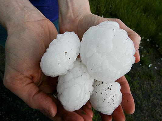Hailstones are seen. (Courtesy of NOAA’s National Severe Storms Laboratory)