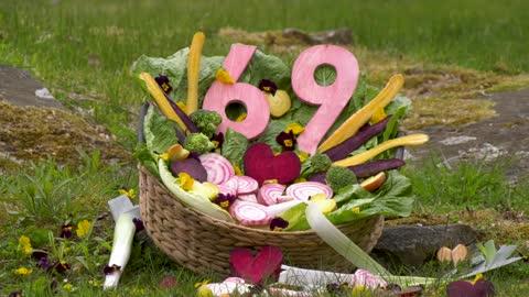 Worlds Oldest Gorilla Celebrates 69th