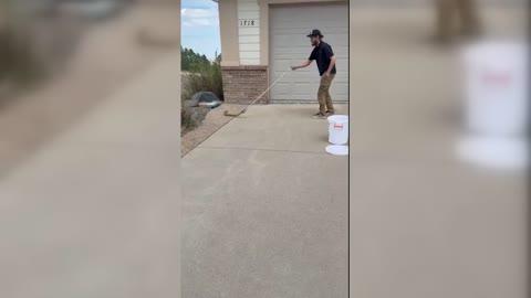 Reptile Wrangler Removes Rattlesnake