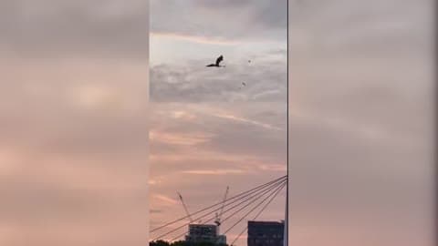 Game of Thrones Dragon Seen Flying Over Glasgow Ahead of Commonwealth Games