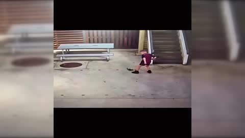Fearless Boy Lets Baby Possum Climb Up His Leg