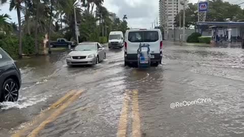 Drivers and Ducks Face Florida Roads Flooded by King Tide