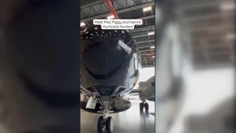 Kermit and Miss Piggy: Hurricane Hunters