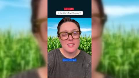 “Corn sweat” is the very real, very gross-sounding nickname for the moisture crops release into the air every summer through evapotranspiration.