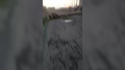 Deadly Cyclone Topples Trees in Madagascar