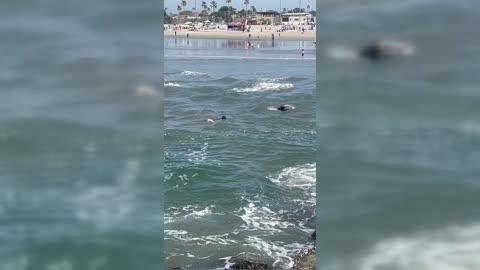 Father and Daughter Rescued From Rip Current