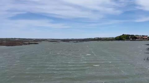 Wind Whips Carolina Marsh Grasses