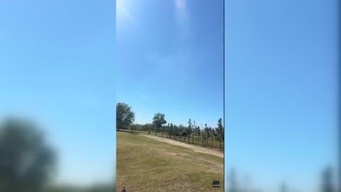 Dust Devil Rises High in the Sky