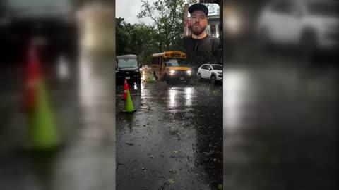 Downed Tree Branches Litter Brooklyn Street