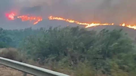 Massive Wildfire Kills 12 in Southern Spain