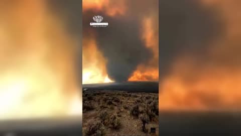 intense heat and strong winds from the Coleman Creek Fire caused the flames to spin into a towering vortex.