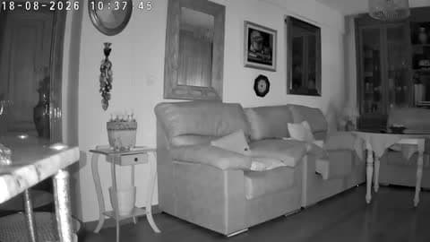 Earthquake Rocks Furniture in Granada Home