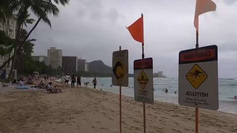 Hurricane Lowell Brings Large Surf to Honolulu Beach