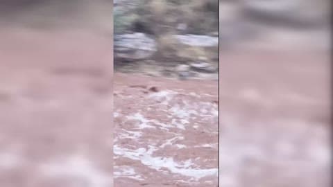 Flash Flood Warning Issued as Thunderstorms Hit Central Arizona