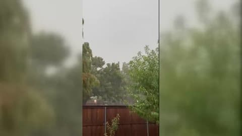 A Little Texas Monsoon Rain Drenches McKinney