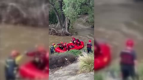 2 Women and 4 Dogs Rescued From Rising California River