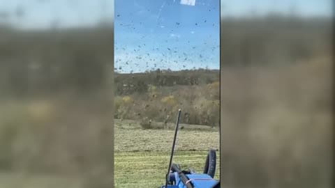 Holy Haynado Farmer Left Speechless as Twister Swallows Her Tractor