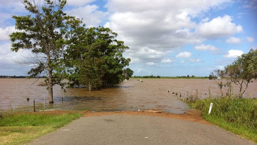 Insects Near Rivers River Flooding: What Are the Categories? | WeatherBug | WeatherBug